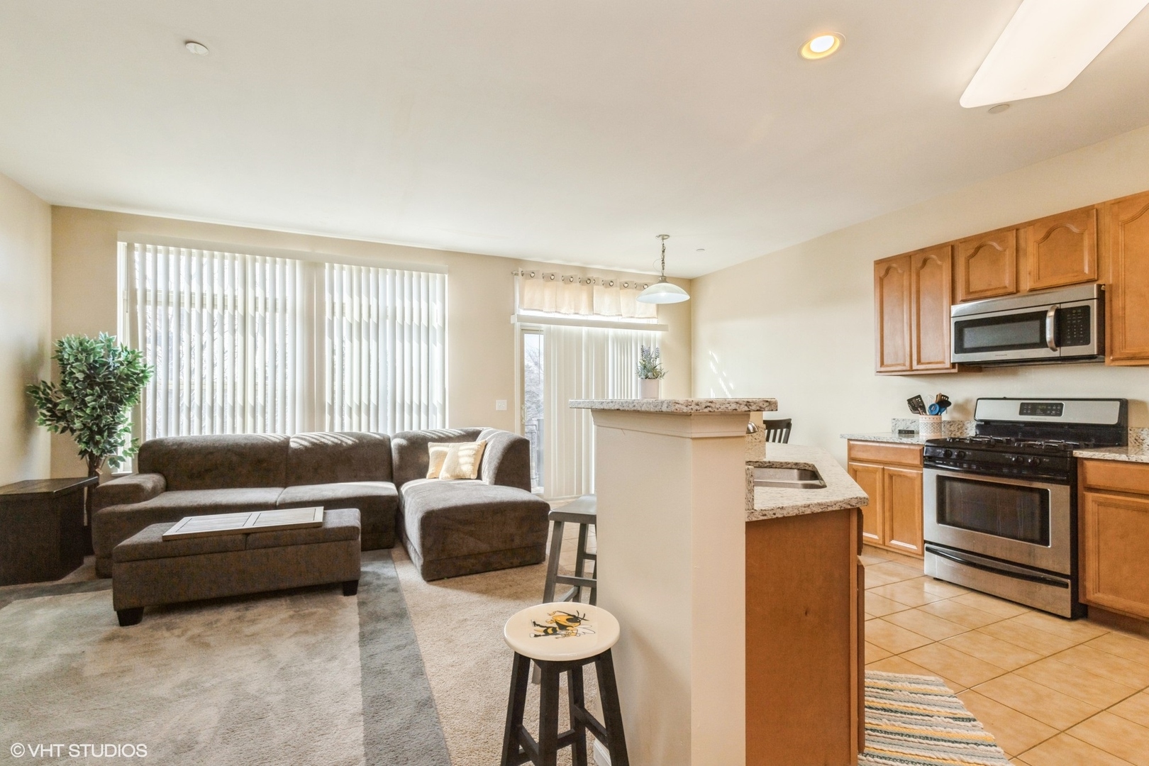 339 W Alpine Springs Drive, Vernon Hills, IL 60061