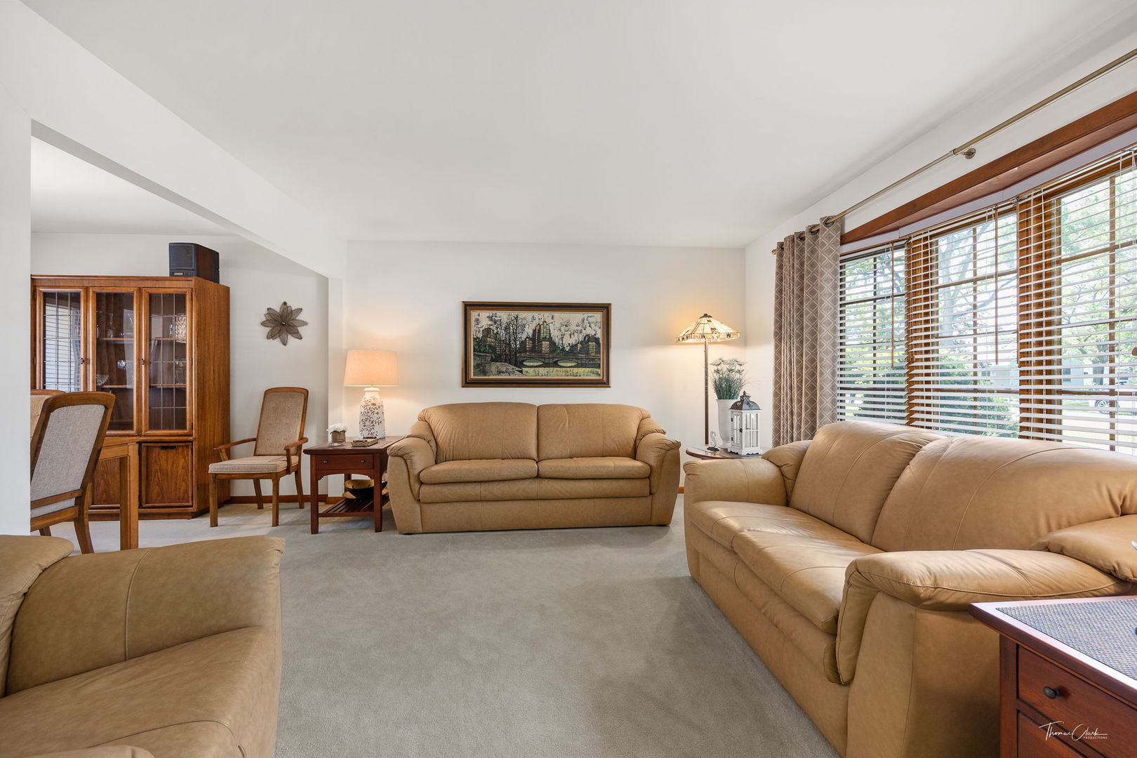 5805 Tennessee Avenue, Clarendon Hills, IL 60514