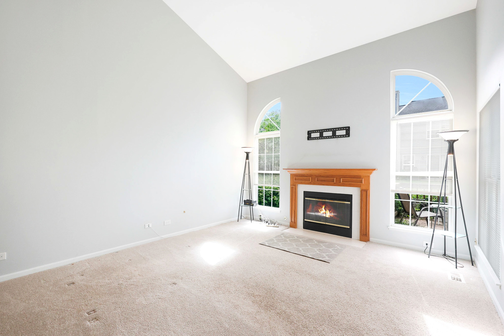 876 Dandridge Court, Elgin, IL 60120