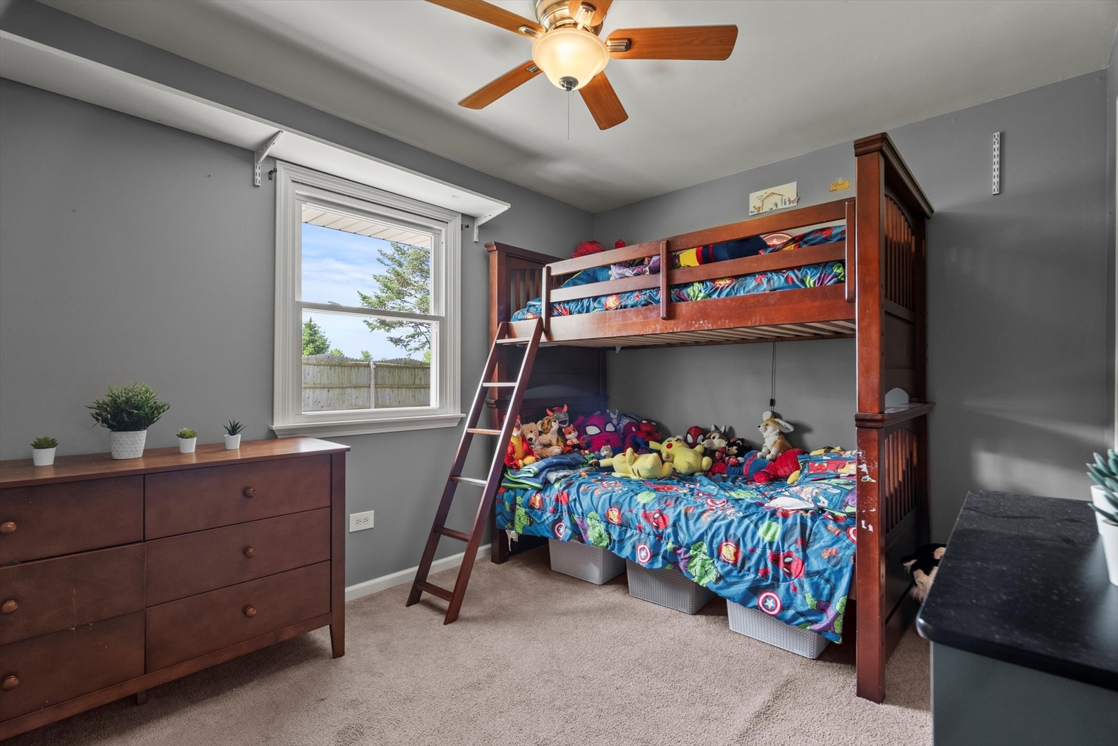 3226 Thomas Hickey Drive, Joliet, IL 60431