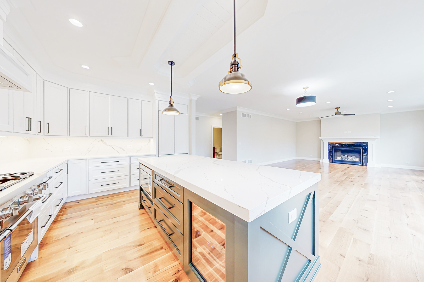1326 N Race Avenue, Arlington Heights, IL 60004