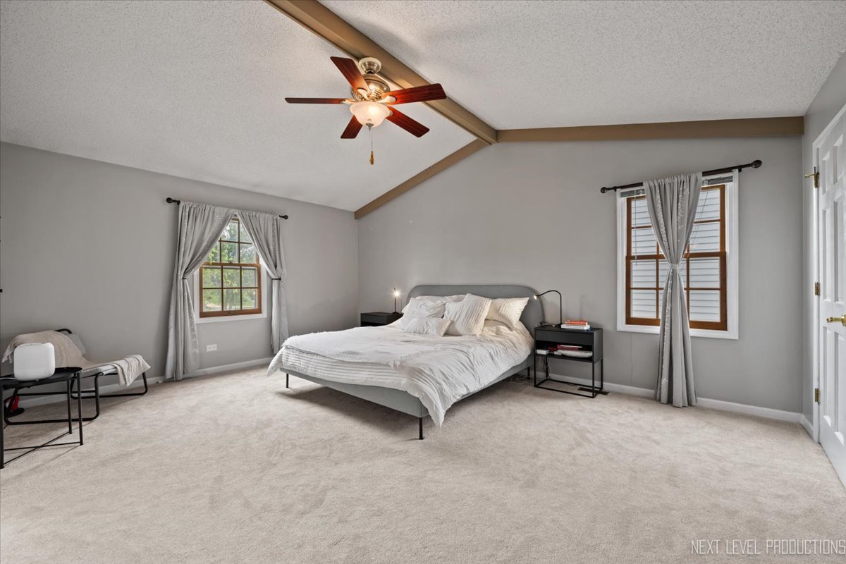 2802 Wedgewood Drive, Naperville, IL 60565