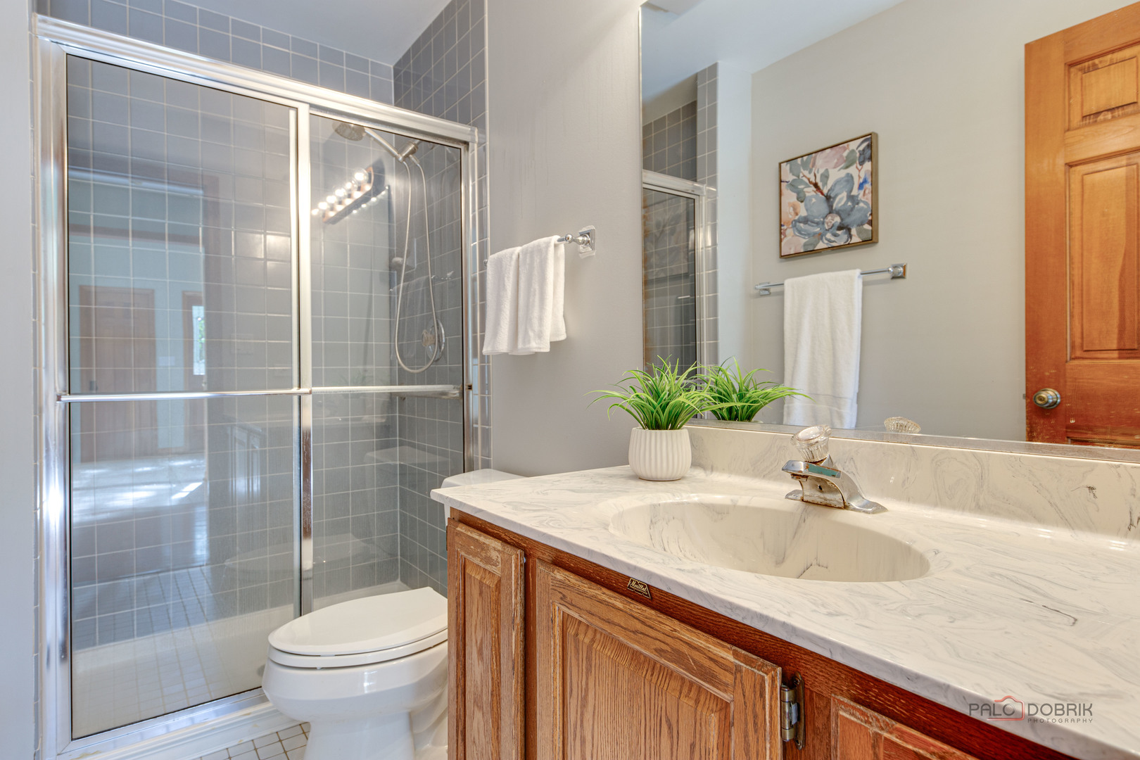 337 S HARRISON Court, Palatine, IL 60067