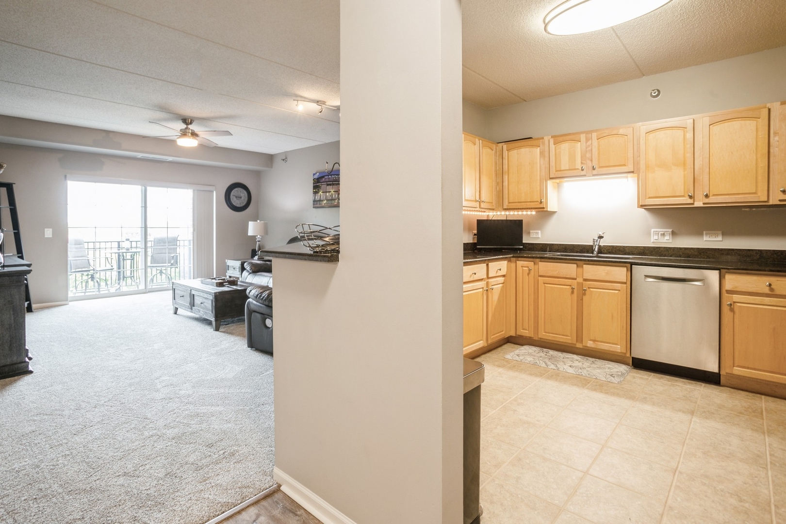 390 W Mahogany Court #406, Palatine, IL 60067