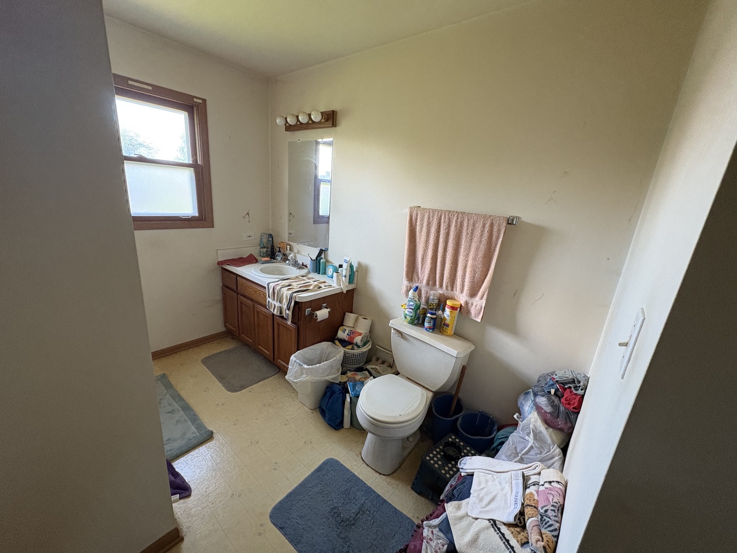 6501 Walter Adamic Lane, Plainfield, IL 60586