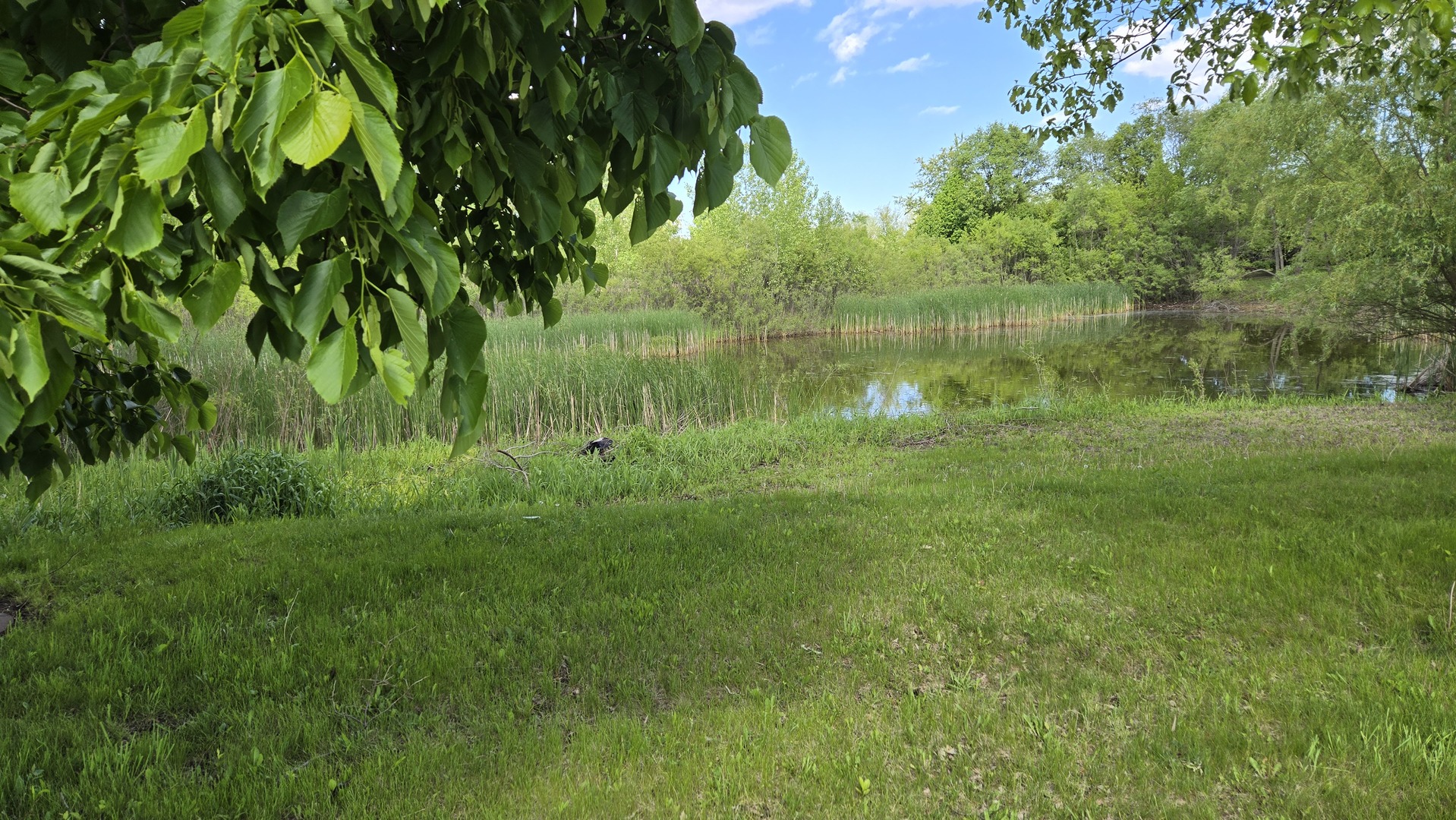 Lot 5 Anthony Court, Wayne, IL 60184
