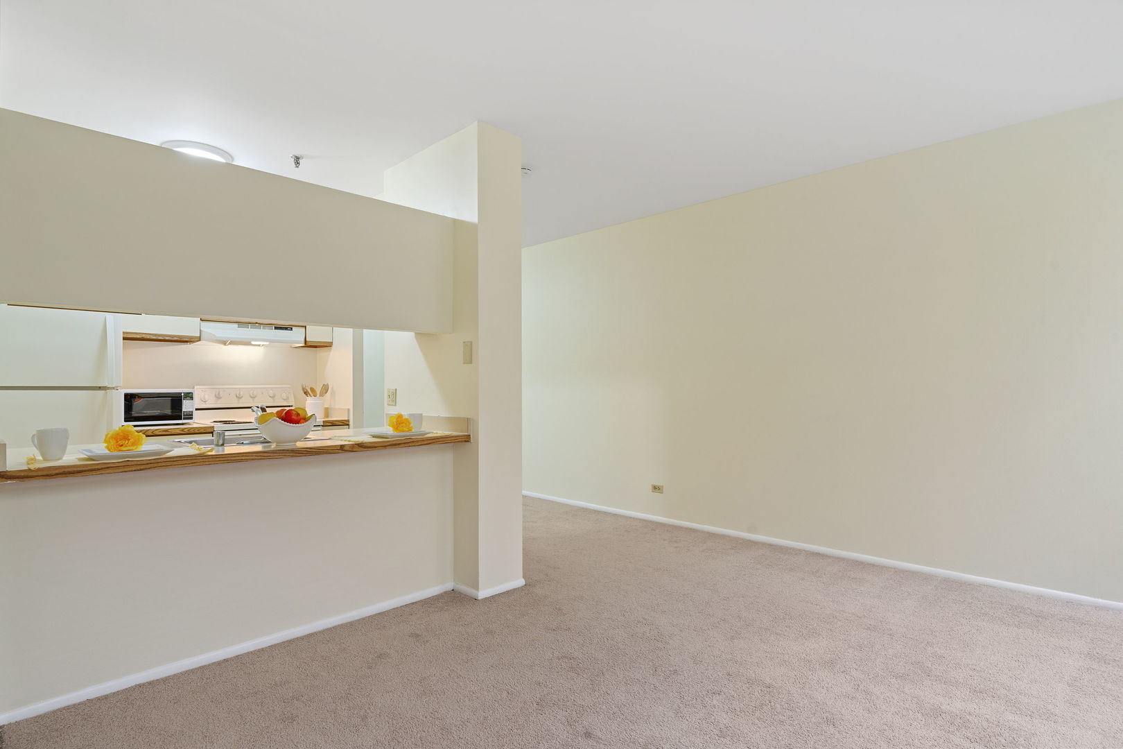 640 S Federal Street #609, Chicago, IL 60605