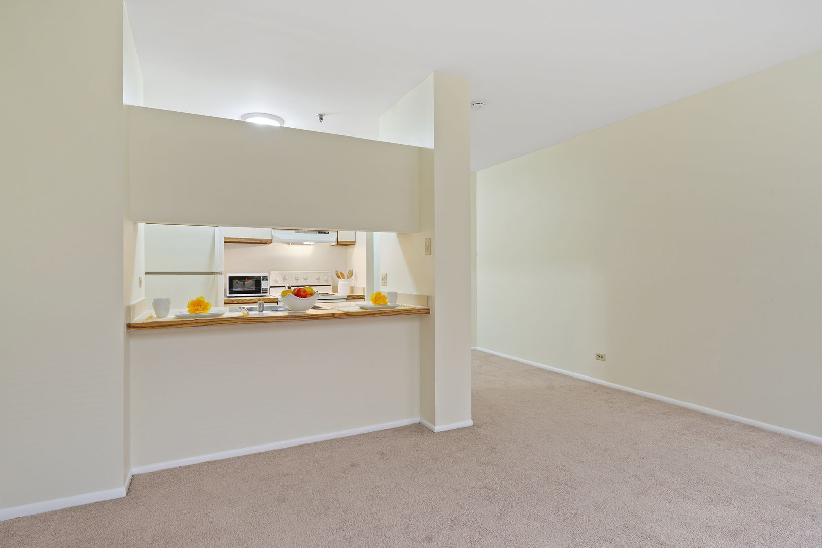640 S Federal Street #609, Chicago, IL 60605