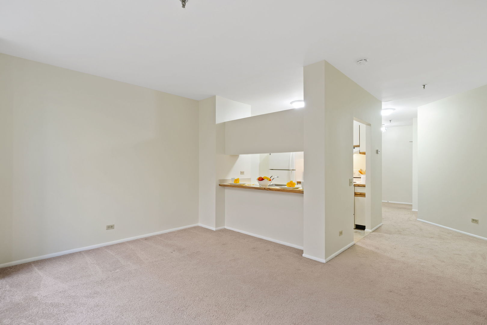 640 S Federal Street #609, Chicago, IL 60605