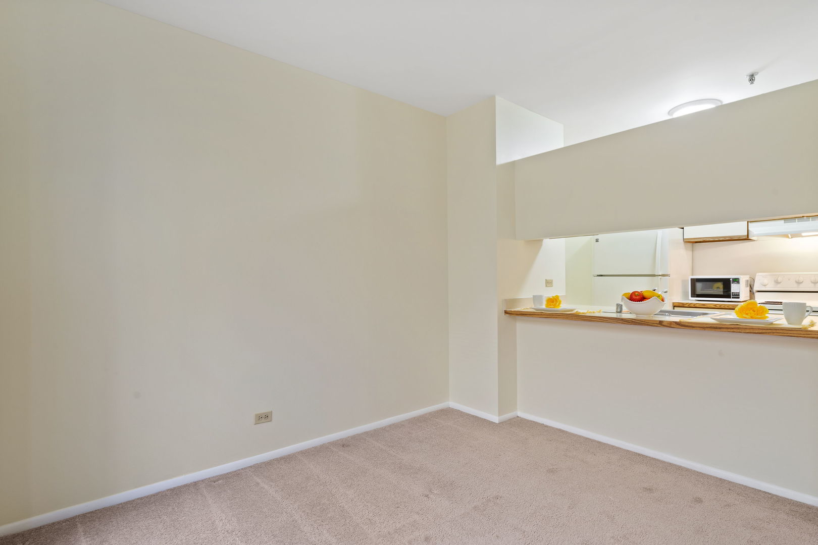 640 S Federal Street #609, Chicago, IL 60605