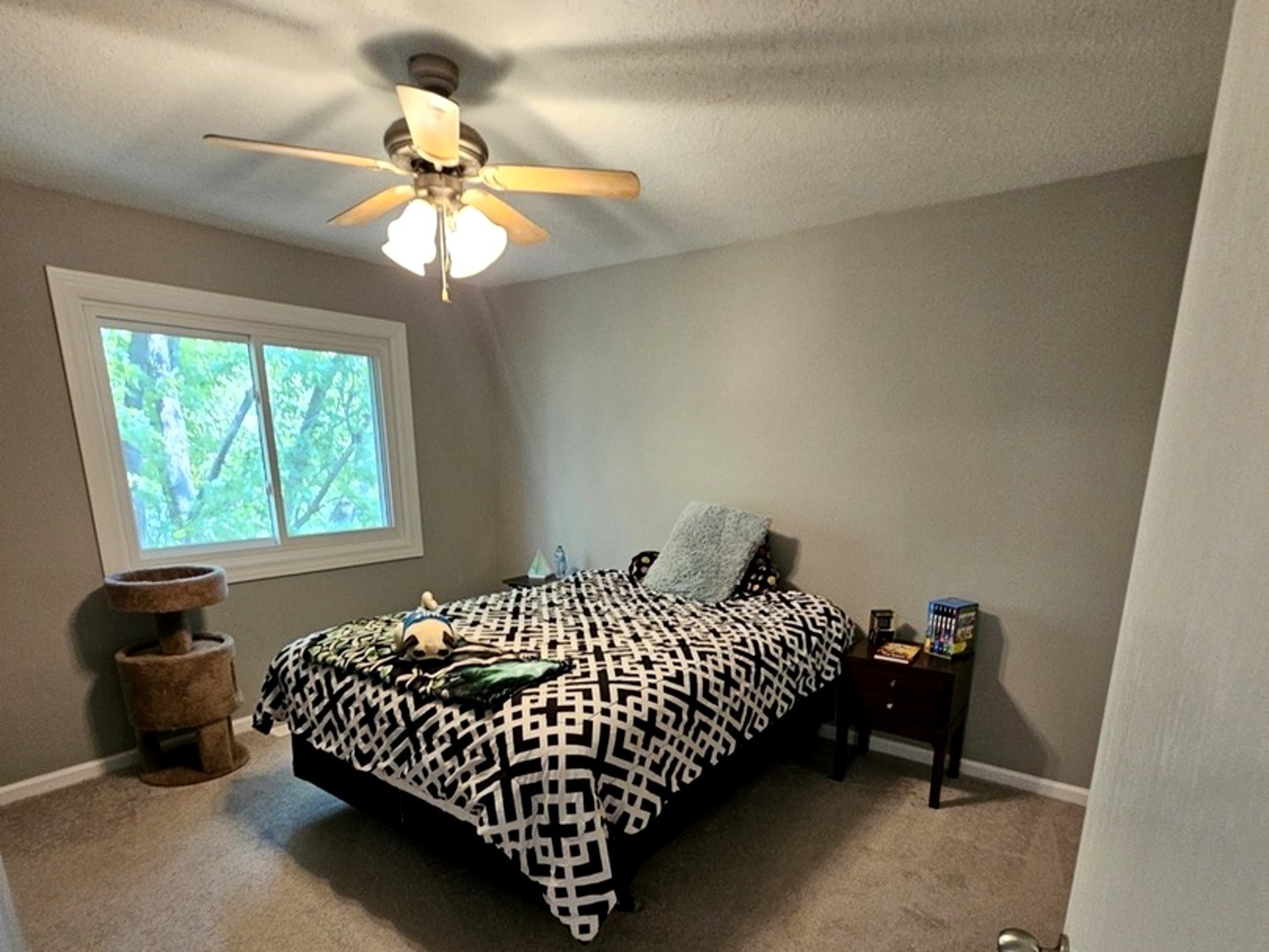 1602 Nightengale Circle, Lindenhurst, IL 60046