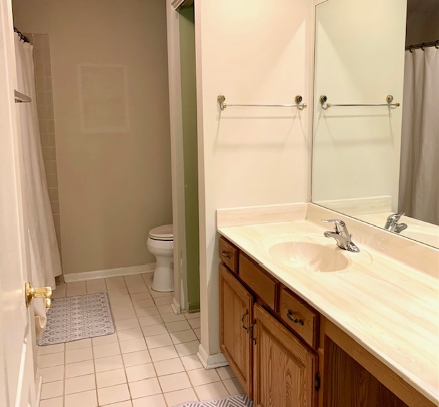 1422 W Orchard Place #B, Arlington Heights, IL 60005