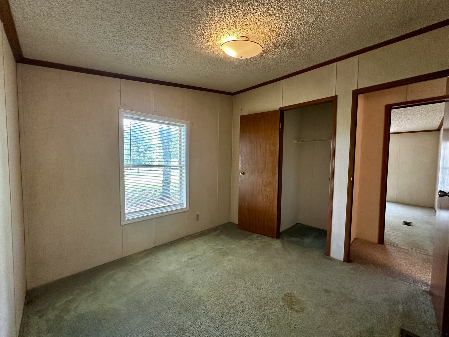 1008 Bloomington Street, Dewitt, IL 61735