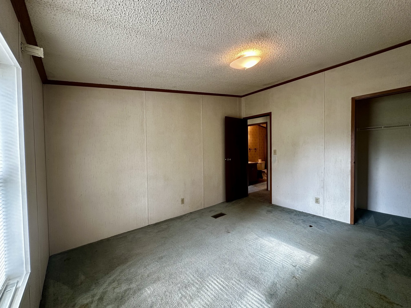 1008 Bloomington Street, Dewitt, IL 61735