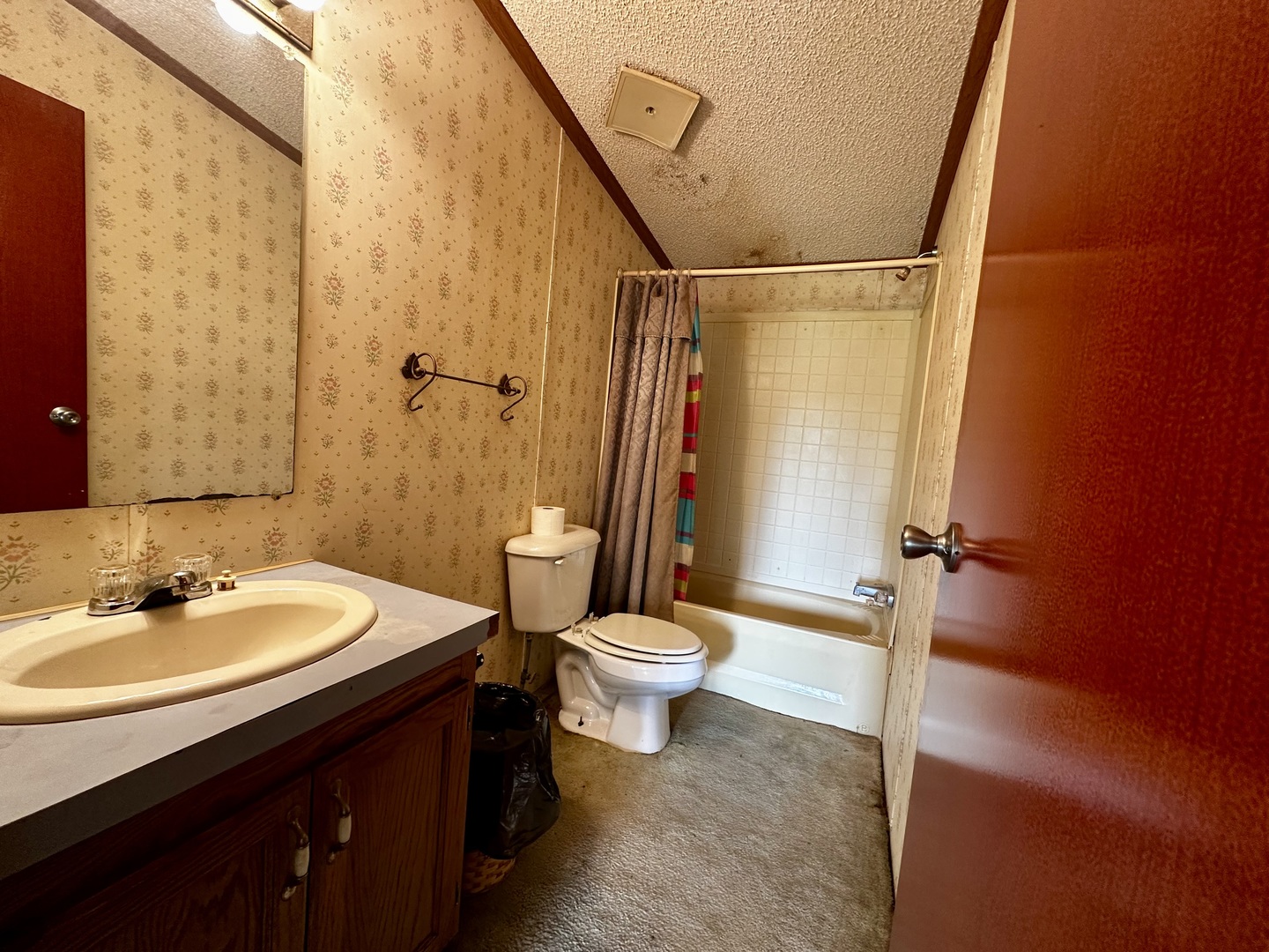 1008 Bloomington Street, Dewitt, IL 61735