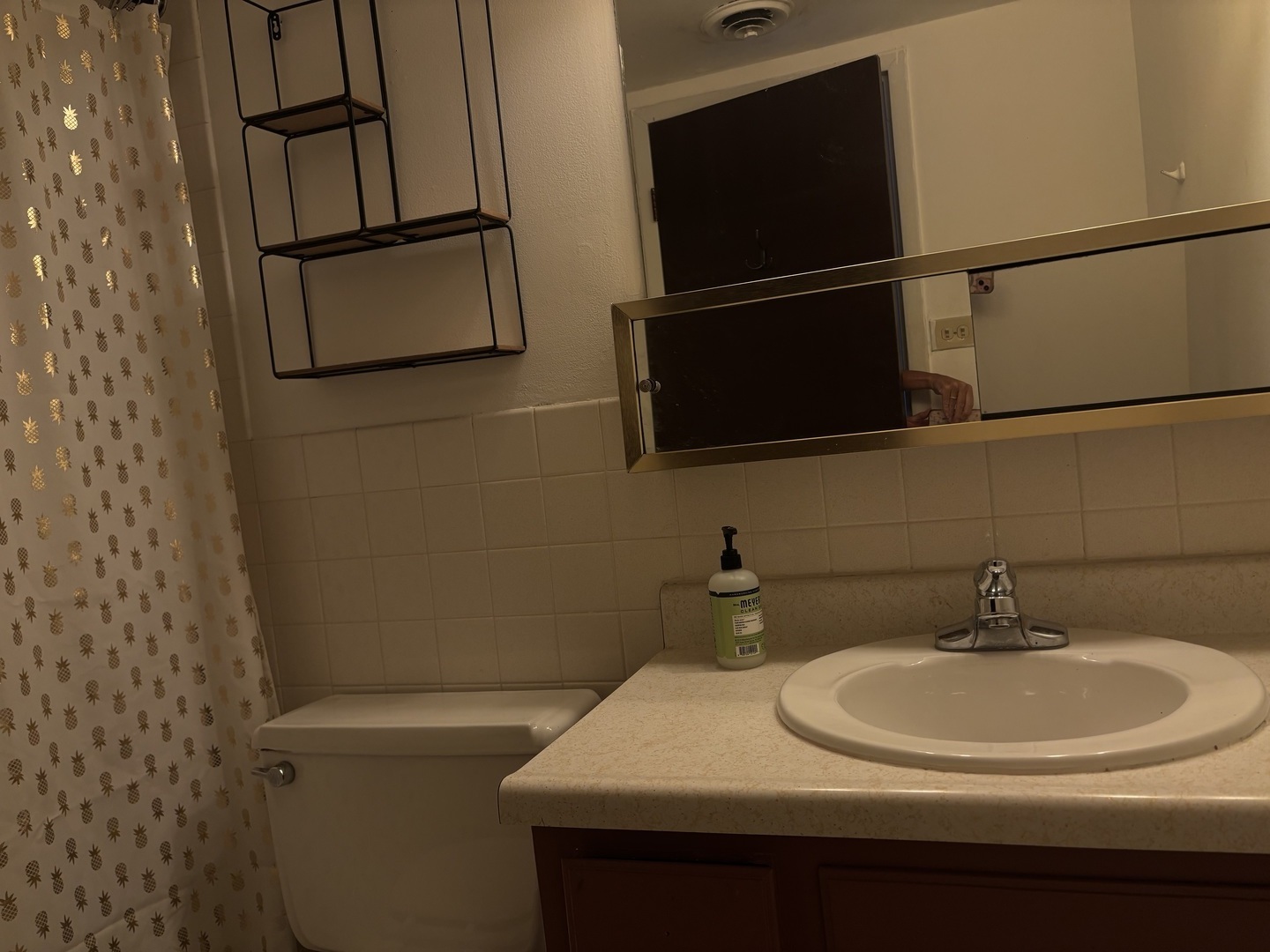 3838 W 111th Street #406, Chicago, IL 60655