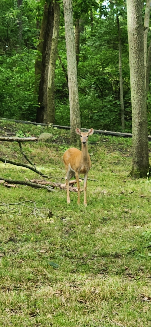 3085 W Southmor Road, Morris, IL 60450