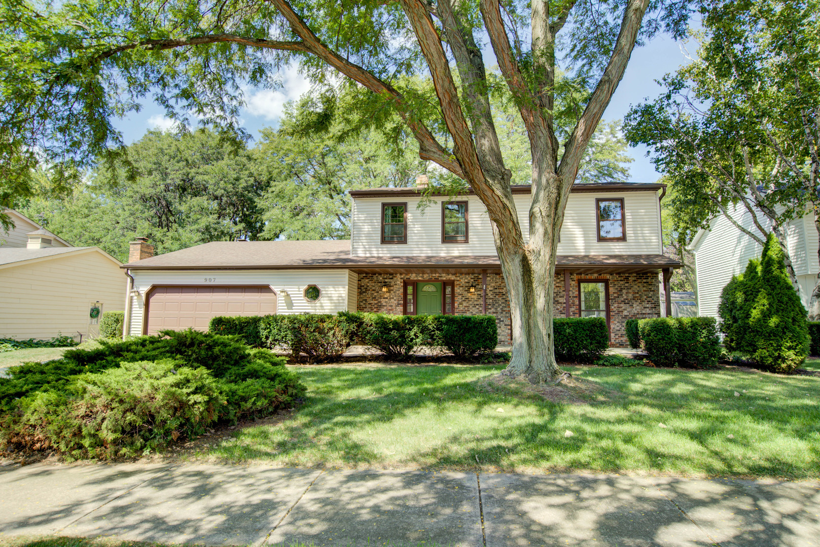 907 Secretariat Drive, Naperville, IL 60540