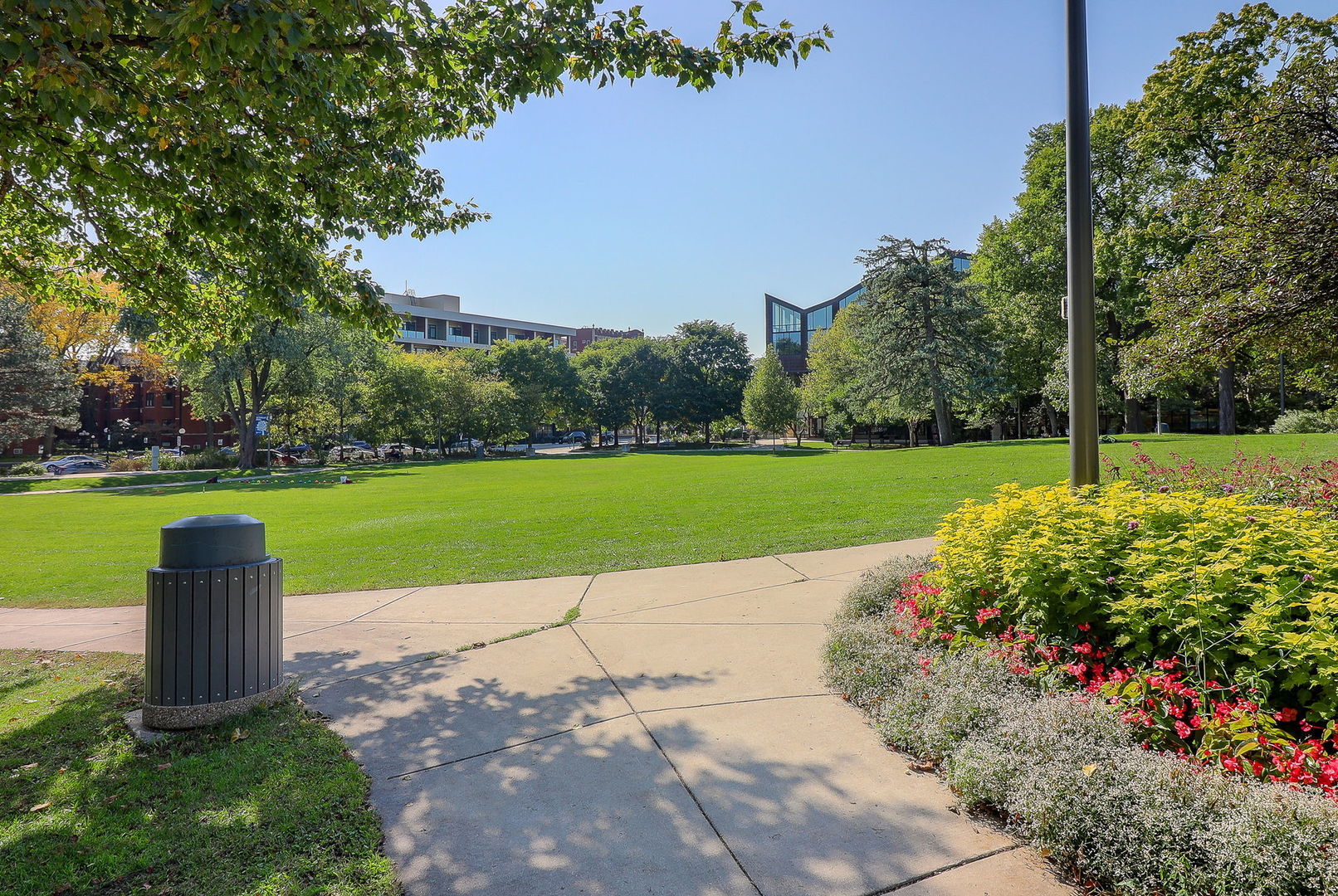 224 Marion Court, Oak Park, IL 60302