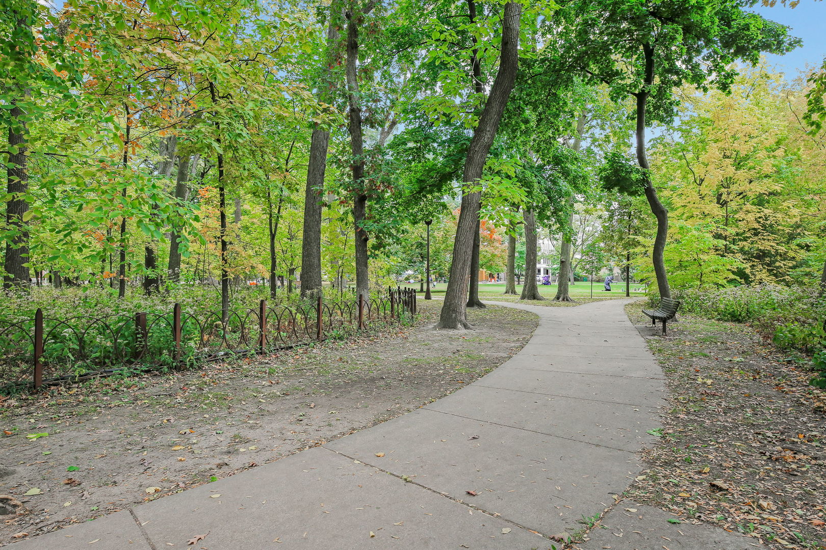 224 Marion Court, Oak Park, IL 60302