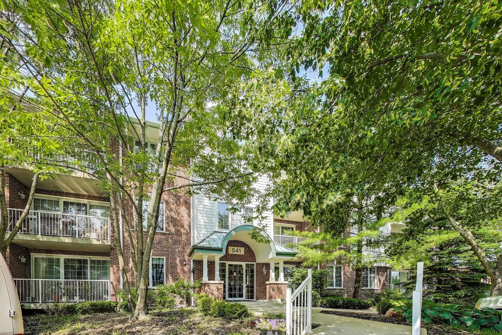 541 N Hough Street #106, Barrington, IL 60010