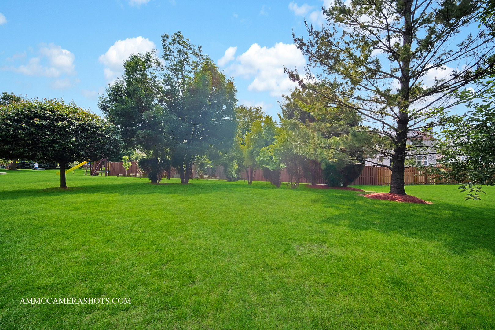 351 Tiger Street, Bolingbrook, IL 60490