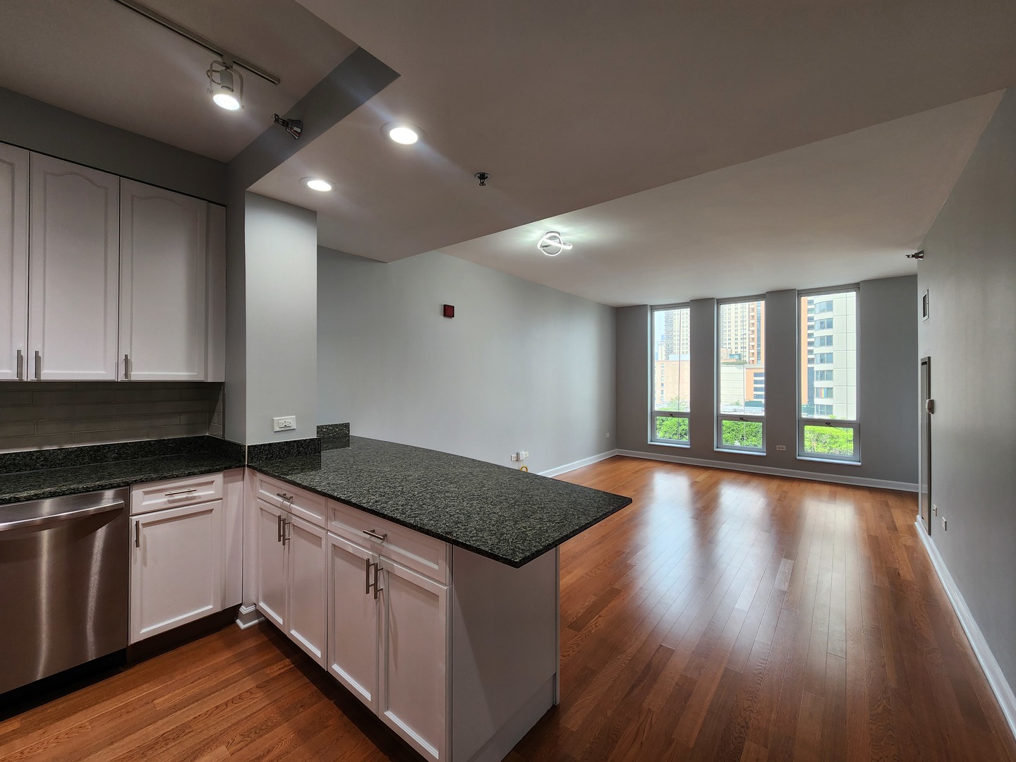 1250 S Michigan Avenue #703, Chicago, IL 60605
