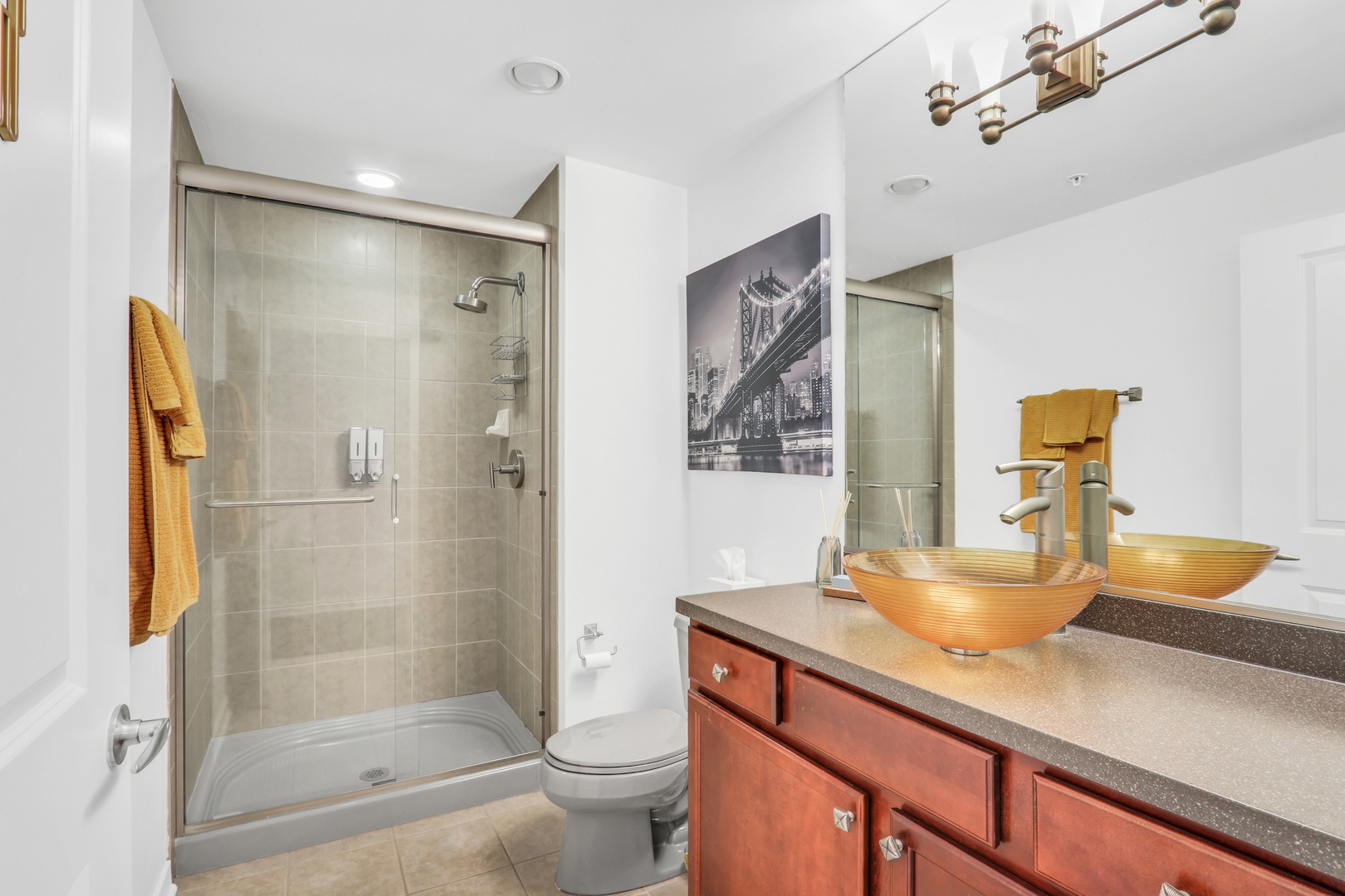 425 Benjamin Drive #309, Vernon Hills, IL 60061