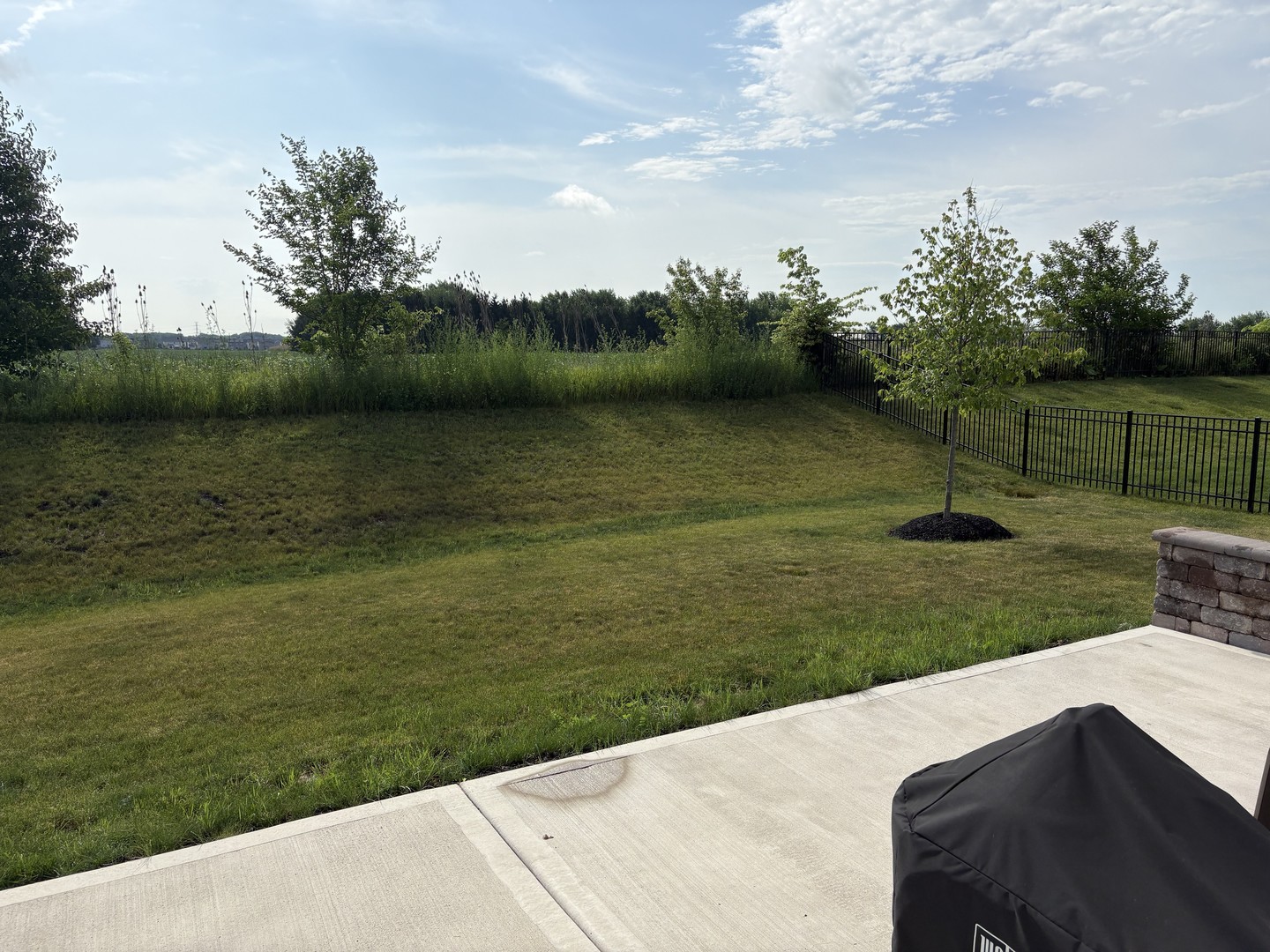 12305 S Prairie Ridge Lane, Plainfield, IL 60585