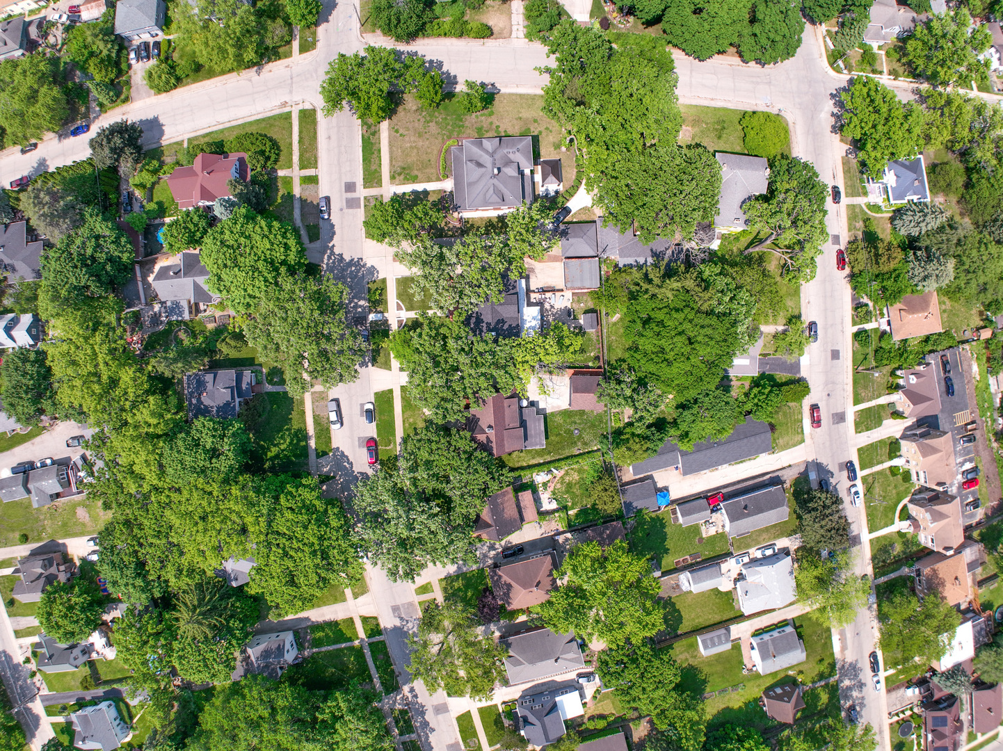 41 Hamilton Avenue, Elgin, IL 60123