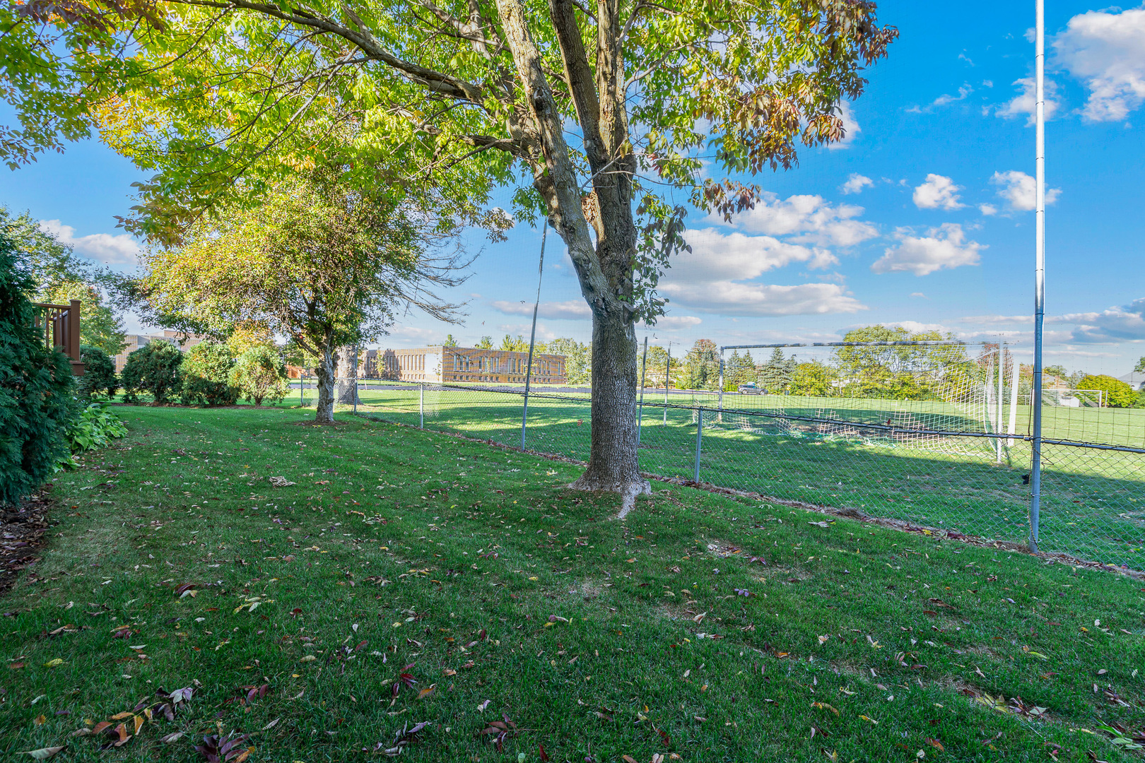 1078 Amber Drive, Lemont, IL 60439