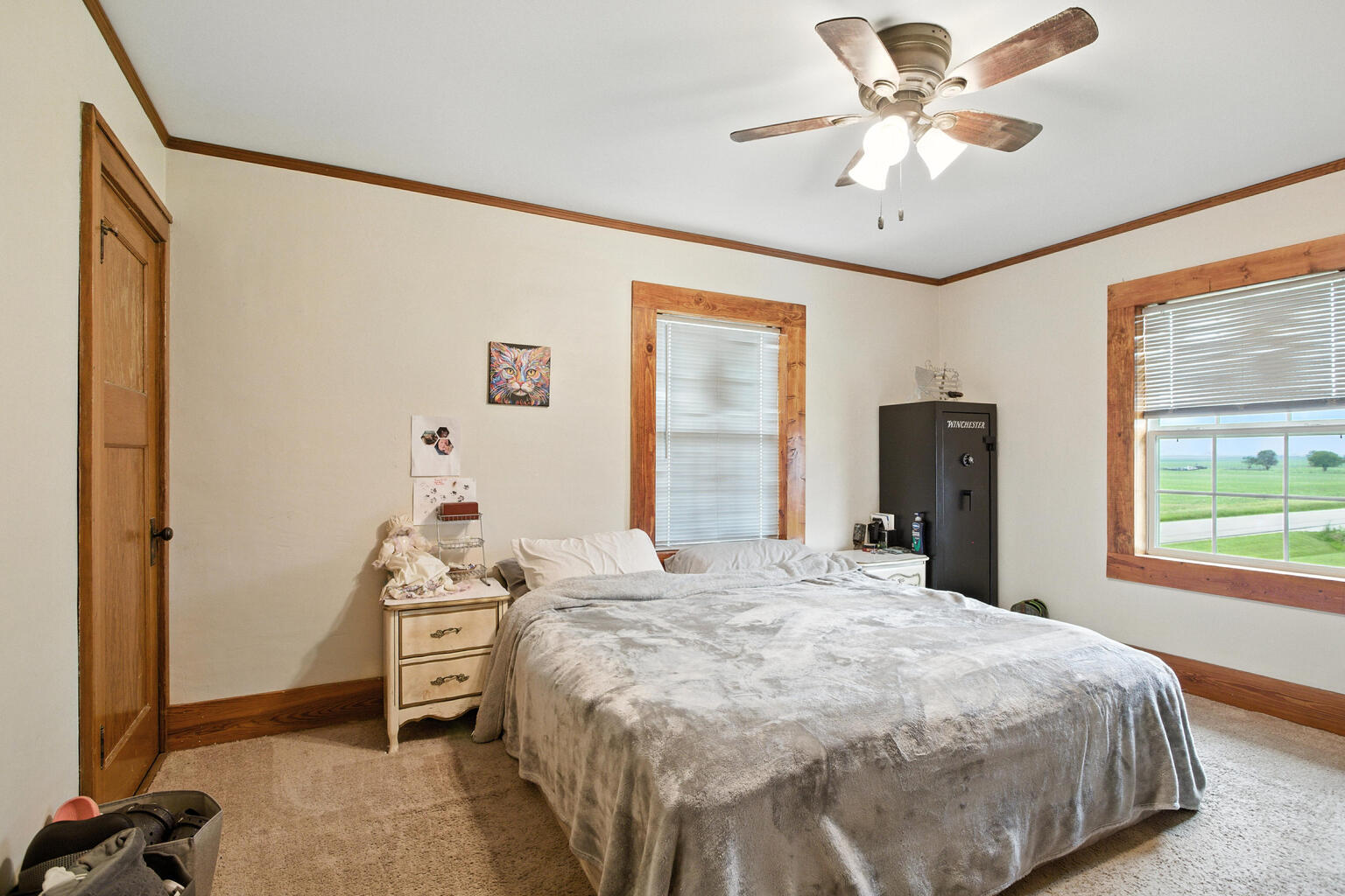 884 E 1200n Road, Melvin, IL 60952