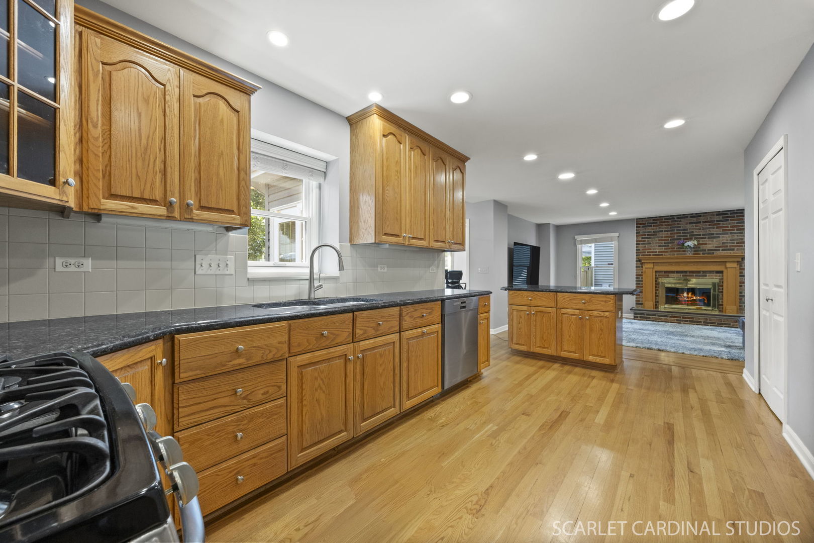 1630 Lois Ann Lane, Naperville, IL 60563