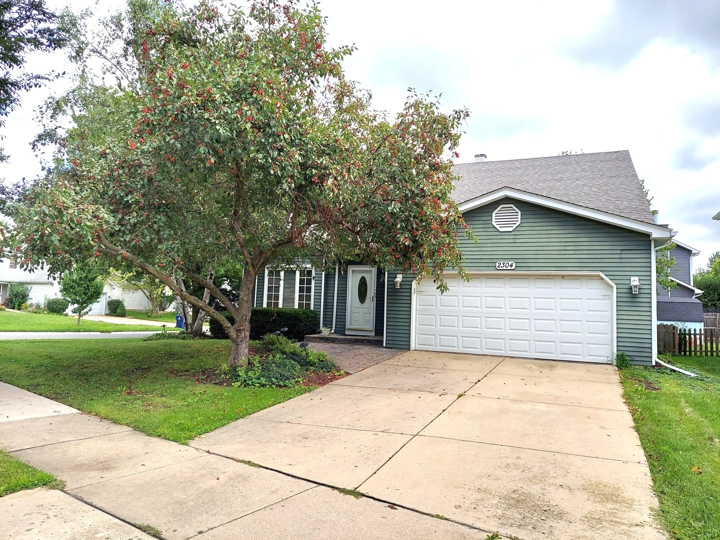 2304 Nottingham Drive, Naperville, IL 60565