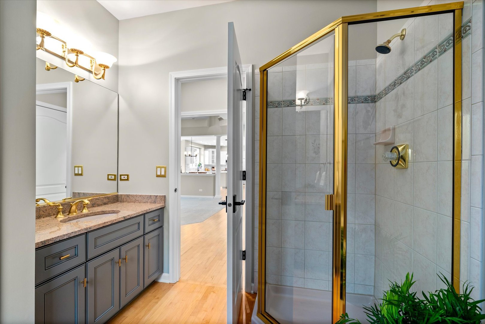 1607 Vincent Court, Naperville, IL 60564