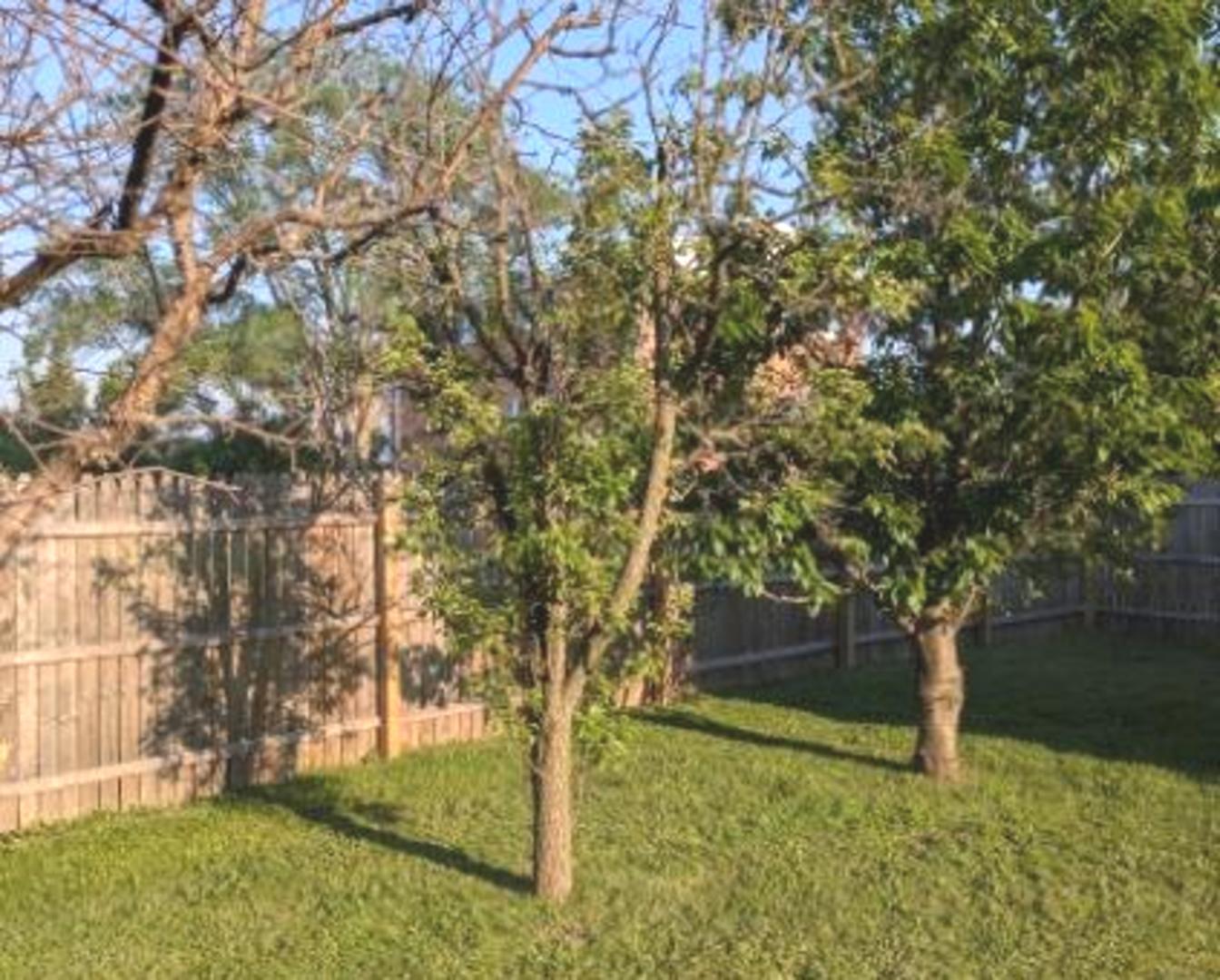 21W185 Tee Lane #C, Itasca, IL 60143