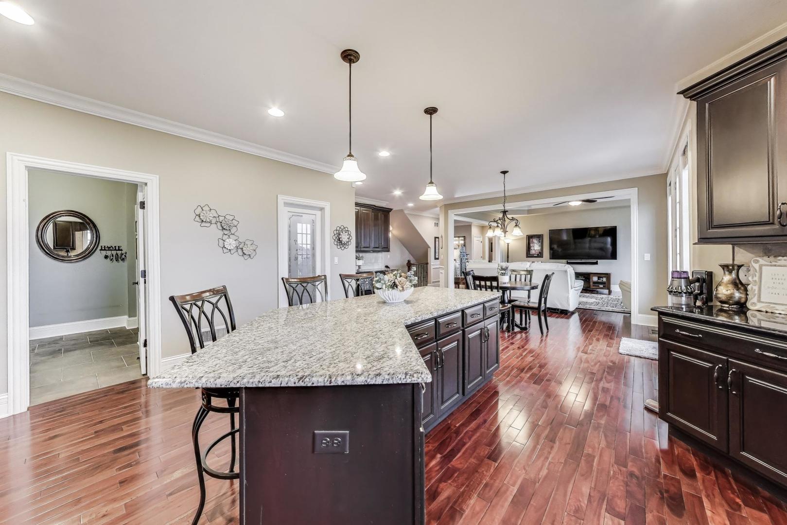 22814 Sara Springs Drive, Frankfort, IL 60423