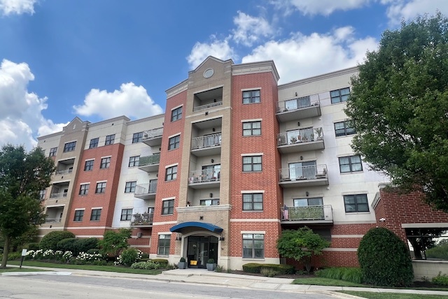 14 S Prospect Street #313, Roselle, IL 60172