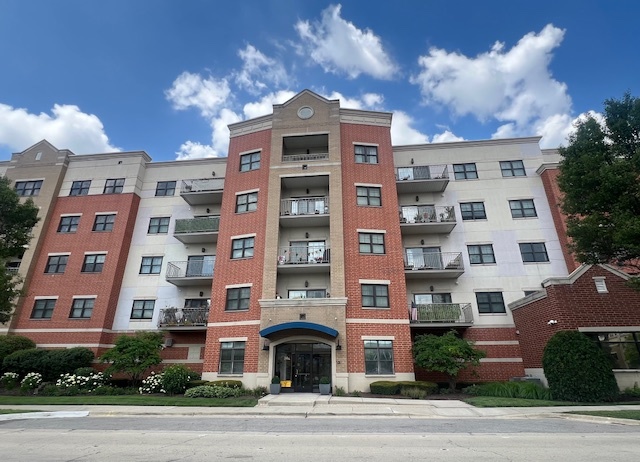 14 S Prospect Street #313, Roselle, IL 60172
