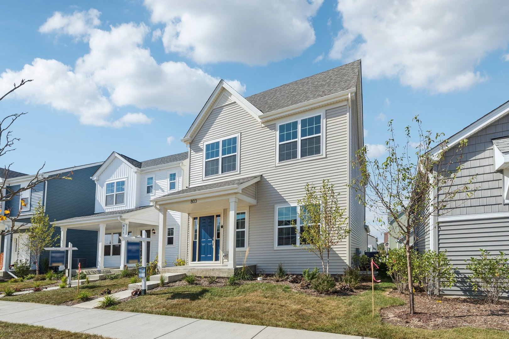 803 Station Boulevard, Elburn, IL 60119