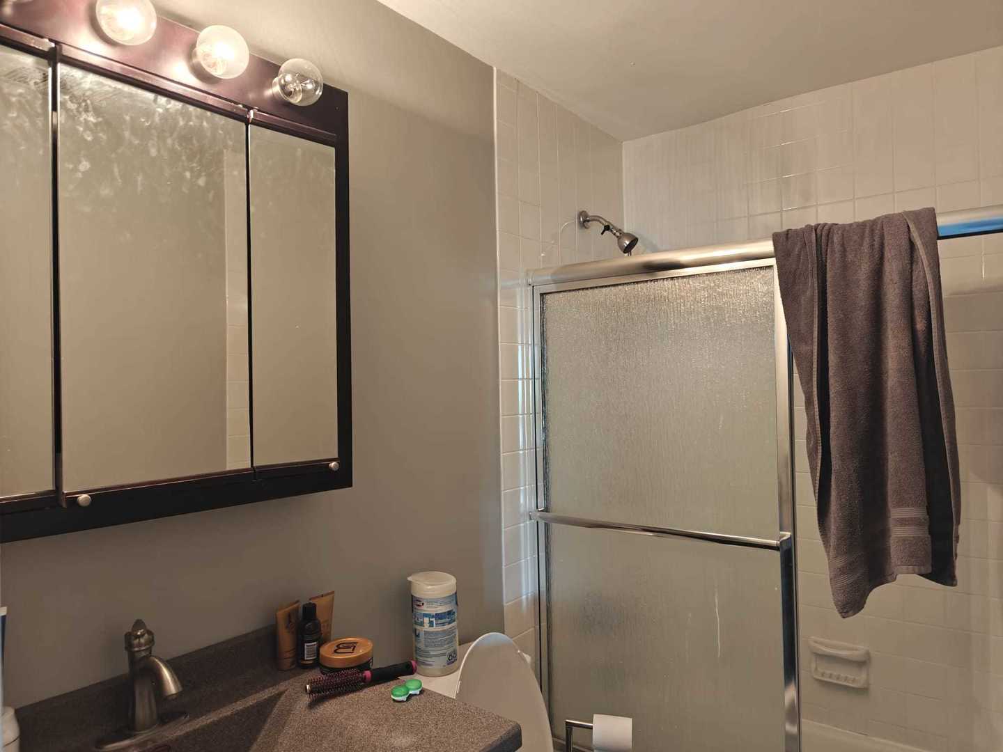 425 Walnut Creek Lane #1401, Lisle, IL 60532