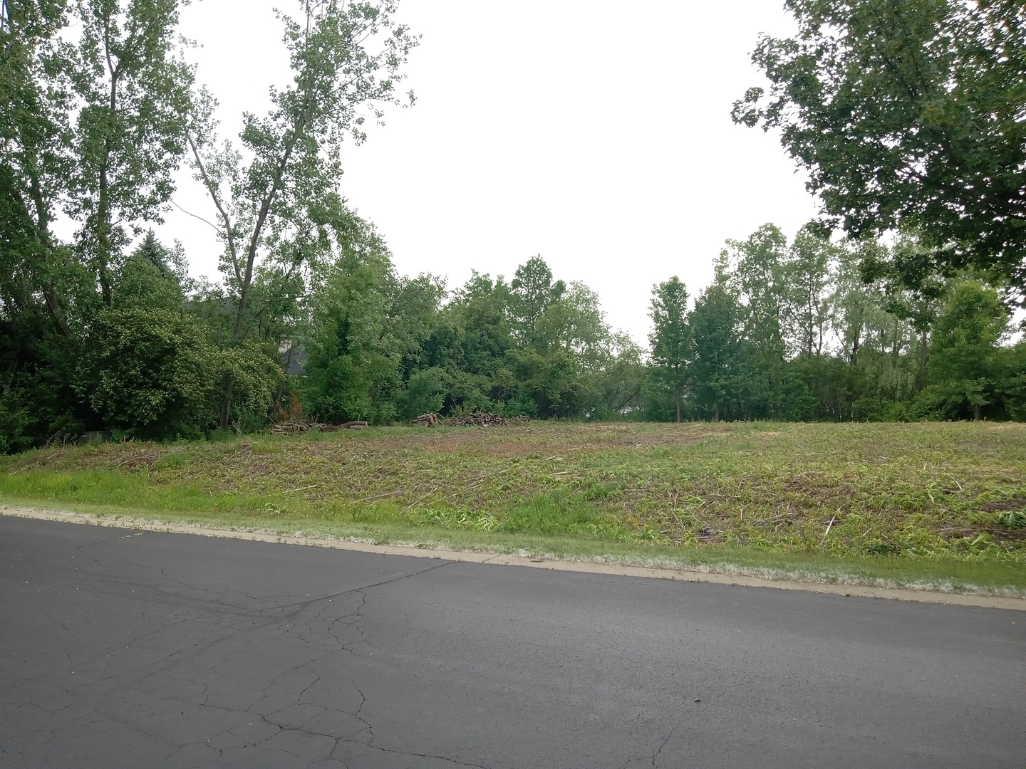 6867 Ellis Avenue, Long Grove, IL 60047