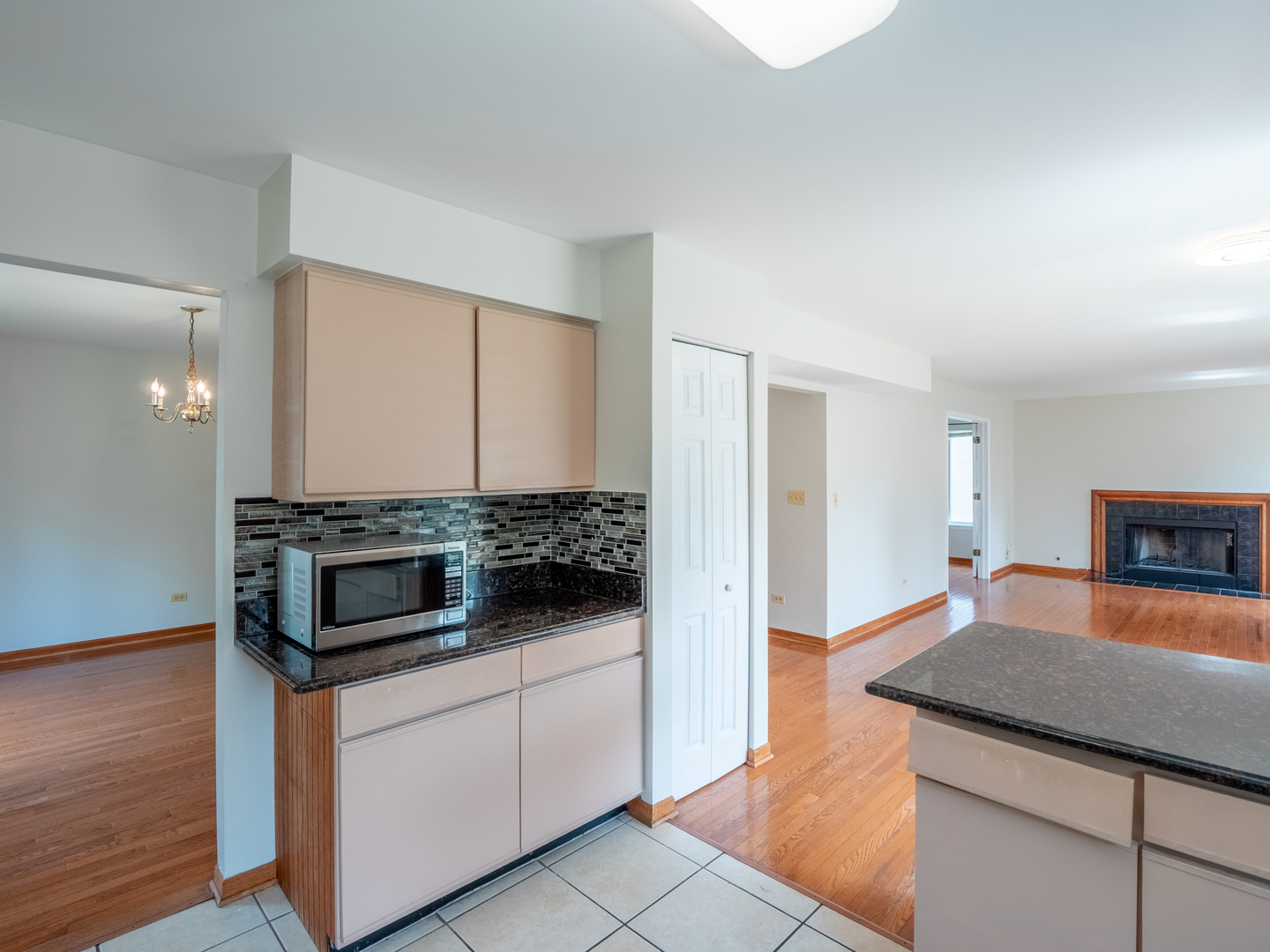 1040 Sanctuary Lane, Naperville, IL 60540