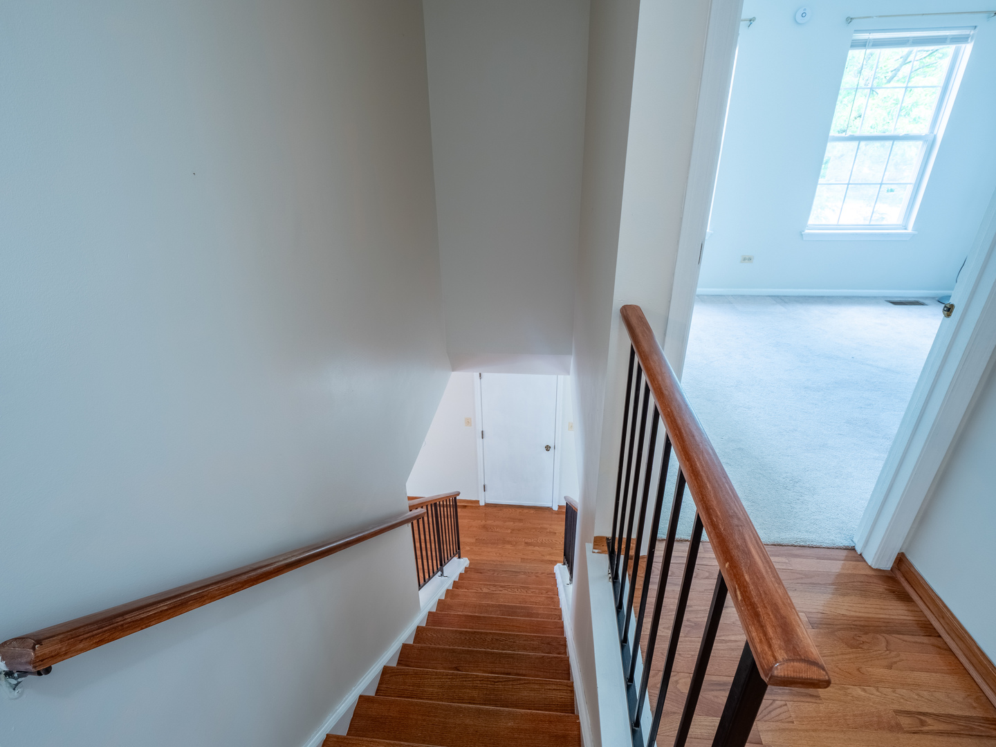 1040 Sanctuary Lane, Naperville, IL 60540