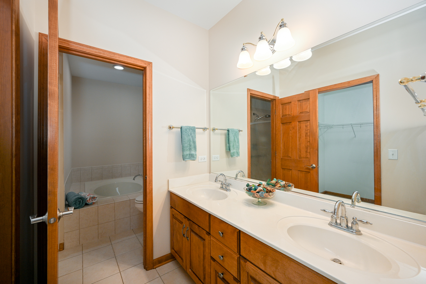 29W505 Cerny Circle, Warrenville, IL 60555