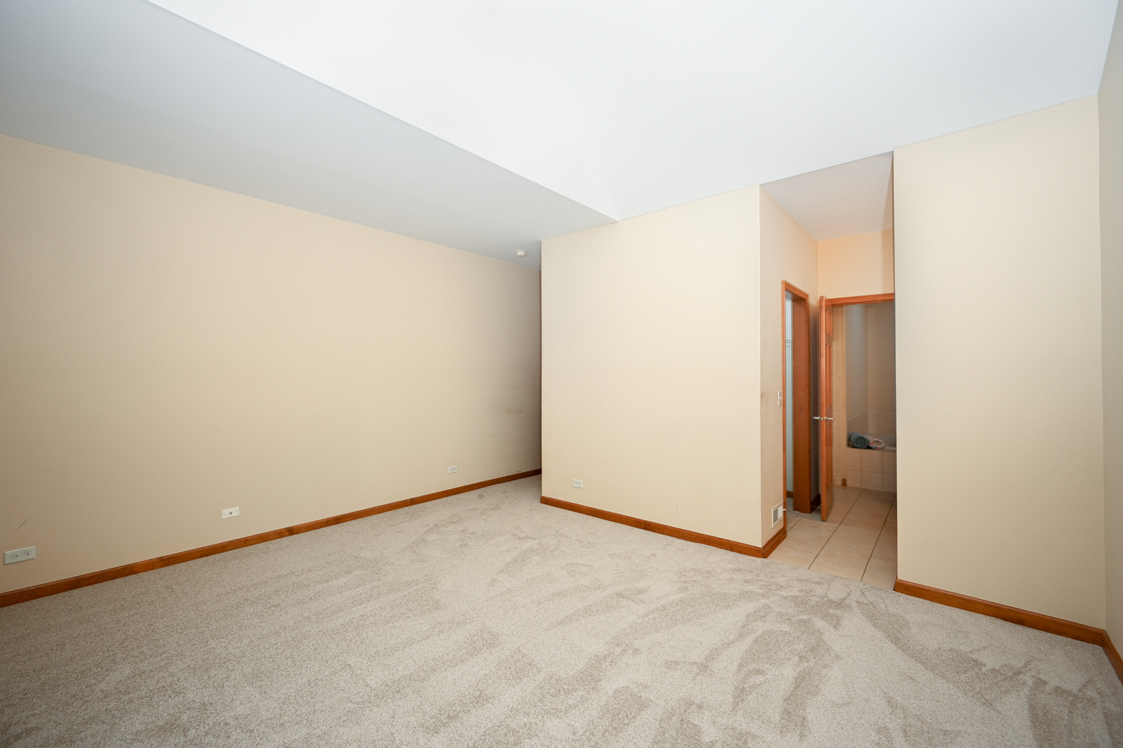 29W505 Cerny Circle, Warrenville, IL 60555