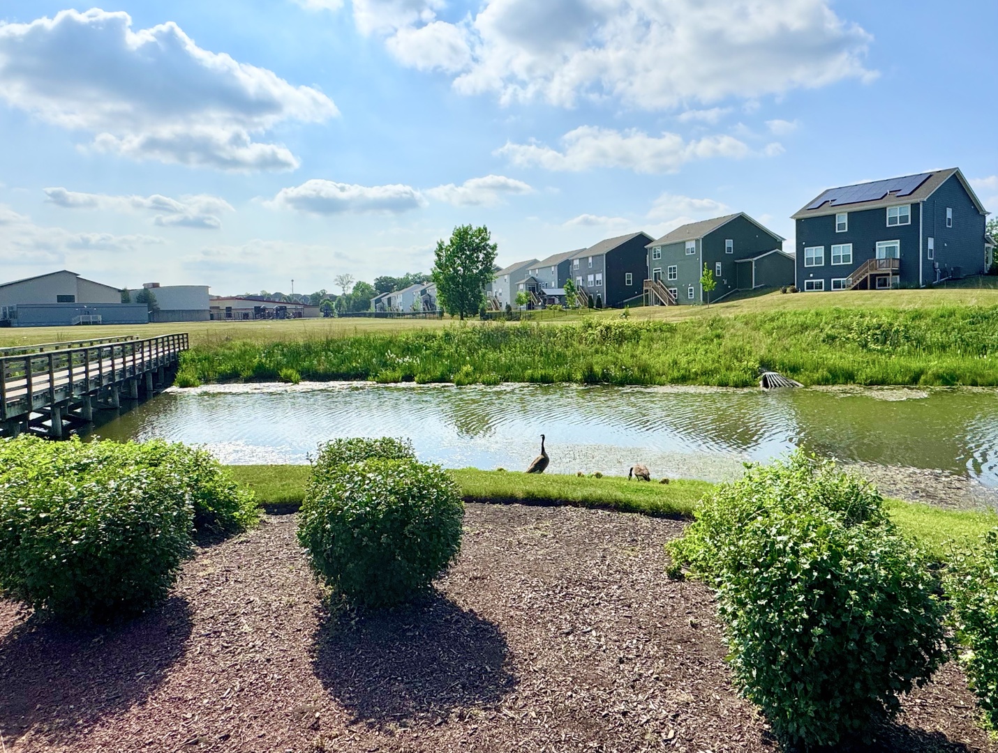 3633 Ancient Oak Drive, Elgin, IL 60124