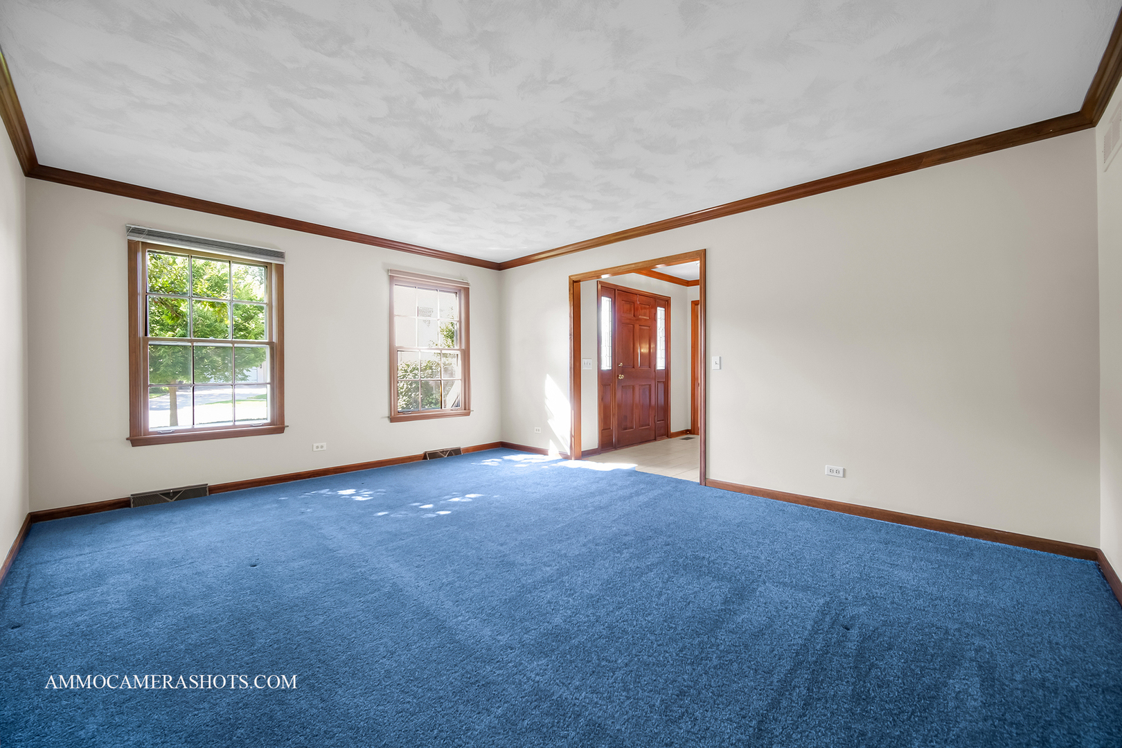 1801 Schillerstrom Court, Wheaton, IL 60189