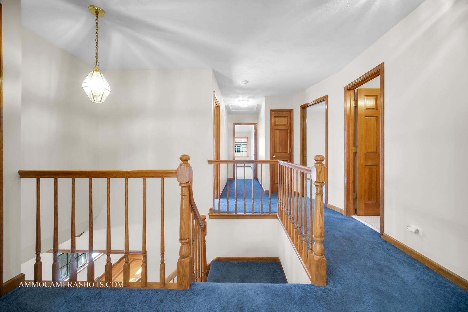 1801 Schillerstrom Court, Wheaton, IL 60189