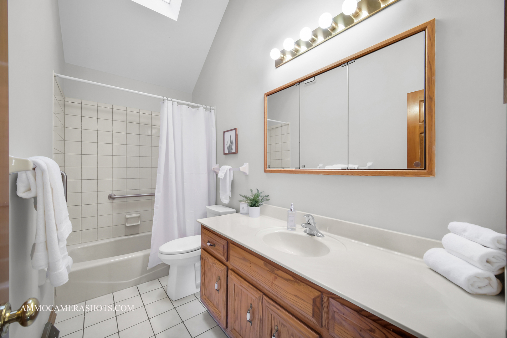 1801 Schillerstrom Court, Wheaton, IL 60189
